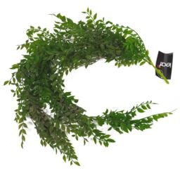 Leaf 100cm Hanging String of Pearls Fern Plant Dark Green - thumbnail 3