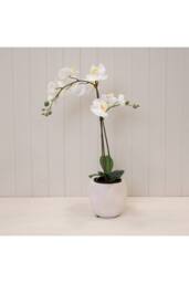 KDMD Textured Stone Plant Pot - 15mm in White - thumbnail 2