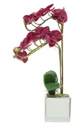 Orsina Fiori Aubergine Orchid Plant, Vivid Purple Orchid Blooms in Silver - thumbnail 1