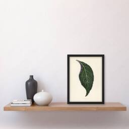 Artery8 Vintage Botanical Nerve Plant Leaf Fawcett Framed Wall Art Print in Beige - Size: A4 - thumbnail 2