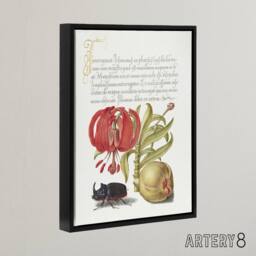 "Artery8 Turks Cap Lily Fig & Beetle Calligraphy Framed Canvas Wall Art Print in White - Size: W12"" x H16""" - thumbnail 2