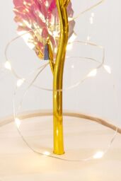 Living and Home Eternal Rose Flower in Glass Dome with Wooden Base & LED Lighting for Gift in Red - thumbnail 7