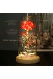 Living and Home Eternal Rose Flower in Glass Dome with Wooden Base & LED Lighting for Gift in Red - thumbnail 2