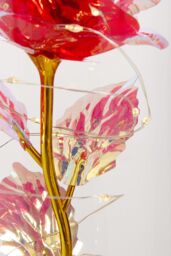 Living and Home Eternal Rose Flower in Glass Dome with Wooden Base & LED Lighting for Gift in Red - thumbnail 6
