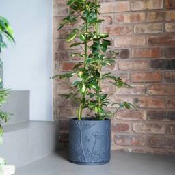 Lemon Pavilion Furniture and Decor Kew Stoneware Meadow Planter - L20.5 x W20.5 x H20.5 cm - Grey - thumbnail 3