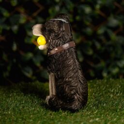 Marco Paul Solar Light Dog Garden Ornament Light Up Tennis Balls Puppy Statue in Bronze - thumbnail 4