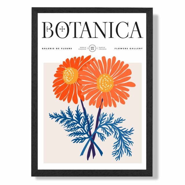 ARTZE Blue & Orange Chrysanthemum Flower Market Exhibition Framed Print SIZE: A4 with Black Frame - image 1