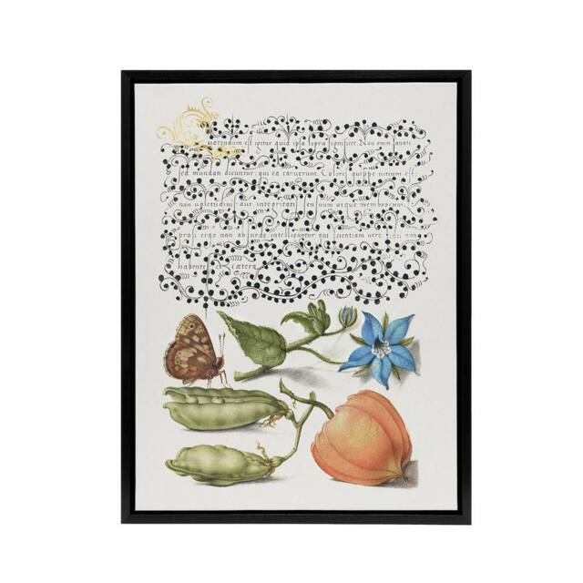 "Artery8 Talewort Pea & Lantern Plant Calligraphy Framed Canvas Wall Art in White - Size: W12"" x H16""" - image 1