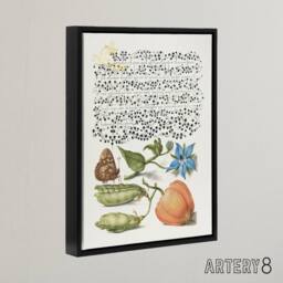 "Artery8 Talewort Pea & Lantern Plant Calligraphy Framed Canvas Wall Art in White - Size: W12"" x H16""" - thumbnail 2