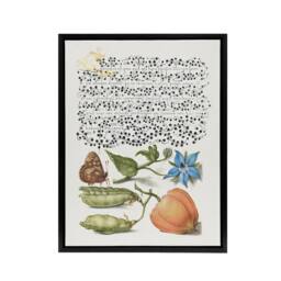 "Artery8 Talewort Pea & Lantern Plant Calligraphy Framed Canvas Wall Art in White - Size: W12"" x H16""" - thumbnail 1