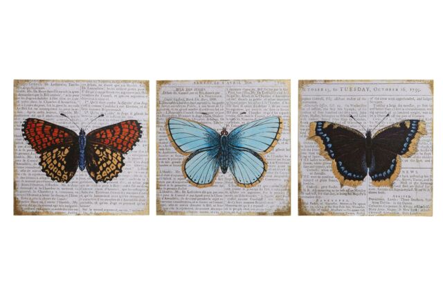 Orsina Butterfly Wall Plaques - Set of 3, Trio Of Wooden Signs With Colourful Butterfly Motifs, Rustic Finish Adds in Grey - image 1