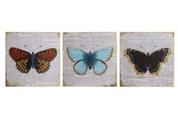 Orsina Butterfly Wall Plaques - Set of 3, Trio Of Wooden Signs With Colourful Butterfly Motifs, Rustic Finish Adds in Grey - thumbnail 2