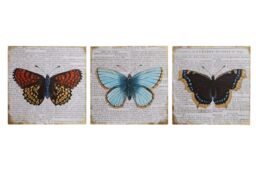Orsina Butterfly Wall Plaques - Set of 3, Trio Of Wooden Signs With Colourful Butterfly Motifs, Rustic Finish Adds in Grey