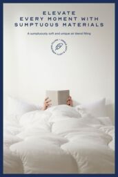 Snuggledown Retreat Cotton 10.5 Tog All Year Round Duvet With 2 Pillows in White - Size: Single - thumbnail 3