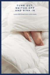 Snuggledown Retreat Cotton 10.5 Tog All Year Round Duvet With 2 Pillows in White - Size: Single - thumbnail 2