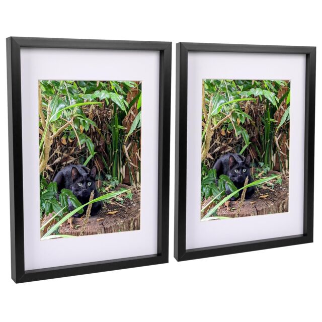 "Nicola Spring 3D Box Photo Frames with A4 Mounts - A3 (12"" x 17"") - White Mount - Pack of 2 in Black" - image 1