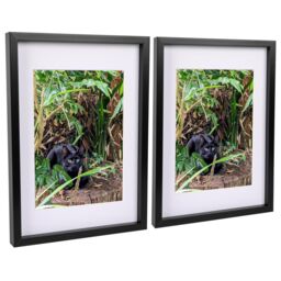 "Nicola Spring 3D Box Photo Frames with A4 Mounts - A3 (12"" x 17"") - White Mount - Pack of 2 in Black" - thumbnail 1