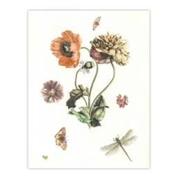 "Artery8 Poppies Butterflies & Dragonfly Teyler Wall Art Poster Print in White - Size: W24"" x H32""" - thumbnail 1
