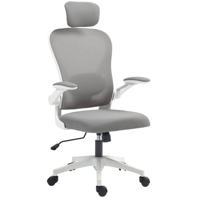 Rolipo Ergonomic Mesh Executive Office Chair With Lumbar Support & Headrest in Grey - image 1
