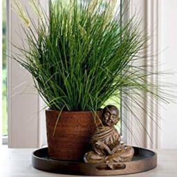mysmartbuy Reading Buddha Decorative Ornament with Weathered Stone Finish in Bronze - thumbnail 2