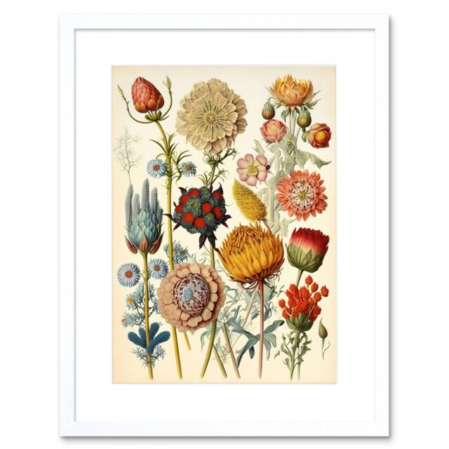 "Artery8 Wall Art Print Vintage Botanical Ernst Haeckel Inspired Plant Study Modern Watercolour Painting Artwork Framed 9X7 Inch - Size: W7"" x H9""" - image 1