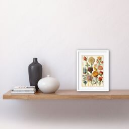 "Artery8 Wall Art Print Vintage Botanical Ernst Haeckel Inspired Plant Study Modern Watercolour Painting Artwork Framed 9X7 Inch - Size: W7"" x H9""" - thumbnail 2