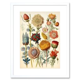 "Artery8 Wall Art Print Vintage Botanical Ernst Haeckel Inspired Plant Study Modern Watercolour Painting Artwork Framed 9X7 Inch - Size: W7"" x H9""" - thumbnail 1