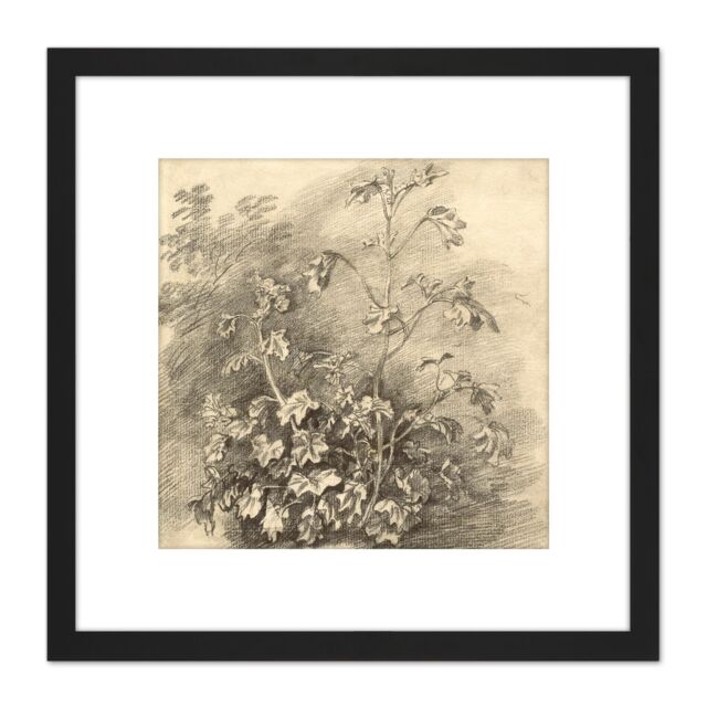 Artery8 Gainsborough Study Of Mallows 1750S Painting 8X8 Inch Square Wooden Framed Wall Art Print Picture with Mount in Black - image 1