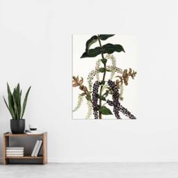 "Artery8 New Zealand Tutu Plant Vintage Artwork Featon Wall Art Poster Print in Beige - Size: W18"" x H24""" - thumbnail 4