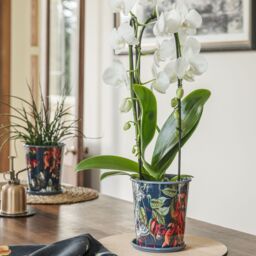 Royal Botanic Gardens Kew Kew Temperate House 14Cm Planter w/ Saucer 14Cm - Metal - Detachable Saucer - Light Weight - Premium Quality - 2 Sizes - thumbnail 4