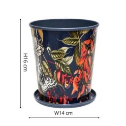 Royal Botanic Gardens Kew Kew Temperate House 14Cm Planter w/ Saucer 14Cm - Metal - Detachable Saucer - Light Weight - Premium Quality - 2 Sizes - thumbnail 7