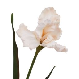Hill Interiors The Natural Garden Collection Fringed Iris Artificial Flower in Green - thumbnail 3