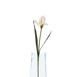 Hill Interiors The Natural Garden Collection Fringed Iris Artificial Flower in Green - thumbnail 4
