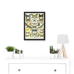 Artery8 Butterflies Moths Lepidopterists A4 Artwork Framed Wall Art Print in Black - thumbnail 2