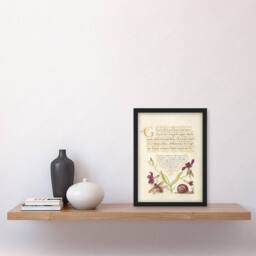 Artery8 Model Book of Calligraphy Framed Wall Art Gillyflower Fly Mayfly & Snail in Beige - Size: A4 - thumbnail 2