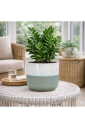 KDMD Hortus Green & White Bordeaux Stoneware Pot 22.5cm H x 24.5cm Dia - thumbnail 4