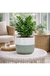 KDMD Hortus Green & White Bordeaux Stoneware Pot 22.5cm H x 24.5cm Dia - thumbnail 5