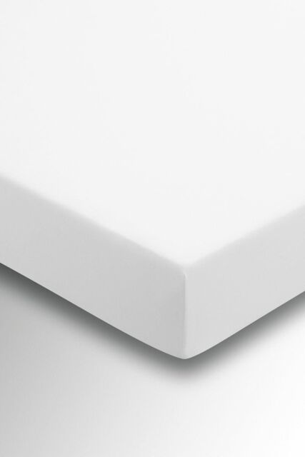Helena Springfield 'Plain Dye' Polycotton Fitted Sheet in White - Size: Super King Fitted - image 1