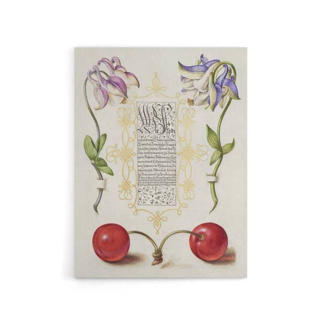 "Artery8 Columbines & Sweet Cherries Calligraphy Canvas Wall Art Print in White - Size: W18"" x H24""" - image 1