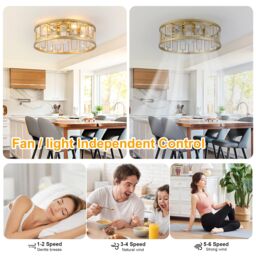 Garwarm 4 Lights Caged Ceiling Fan with Lights Gold Square - thumbnail 4