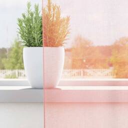 Berkfield Home Voile Curtains with Loops 2 pcs Pink 140x260 cm
