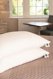 Martian Made Martian Dreams Waterproof Pillow Protectors 2 Pack - Standard Size (50x75cm) in White - Size: Standard Pillow Case - thumbnail 5