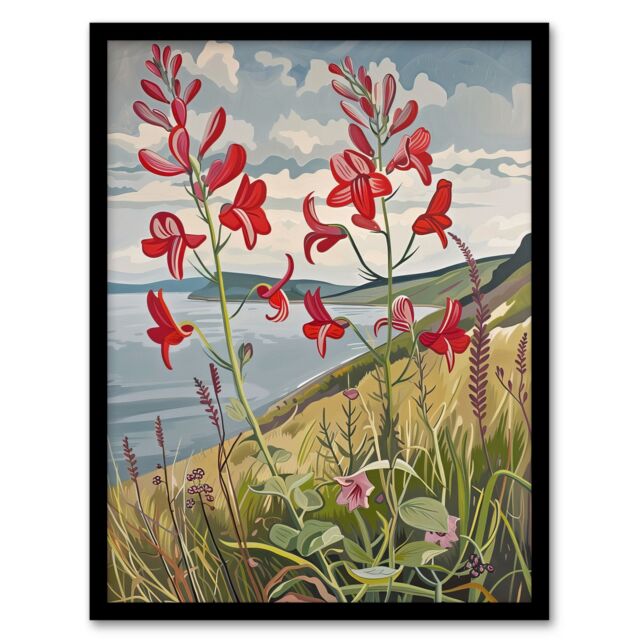 "Artery8 Red Wildflowers on Hunt Cliff Saltburn Yorkshire Framed Art Print in Green - Size: W12"" x H16""" - image 1