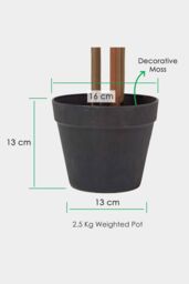 Homescapes Luxury 100cm Artificial Bamboo Tree Real Wood Stem Plant, Black Pot in Green - thumbnail 3