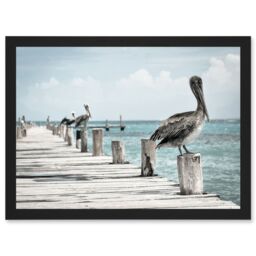 Artery8 Animal Photo Bird Pelicans Ocean Pier Artwork Framed Wall Art Print A4 in Black - thumbnail 1