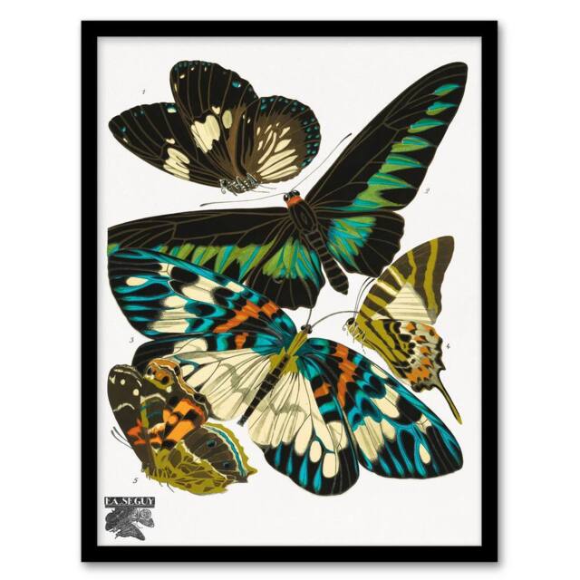 Artery8 Eugene Seguy Framed Wall Art Print Vintage Butterflies Green Blue - Size: A4 - image 1