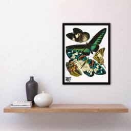 Artery8 Eugene Seguy Framed Wall Art Print Vintage Butterflies Green Blue - Size: A4 - thumbnail 2