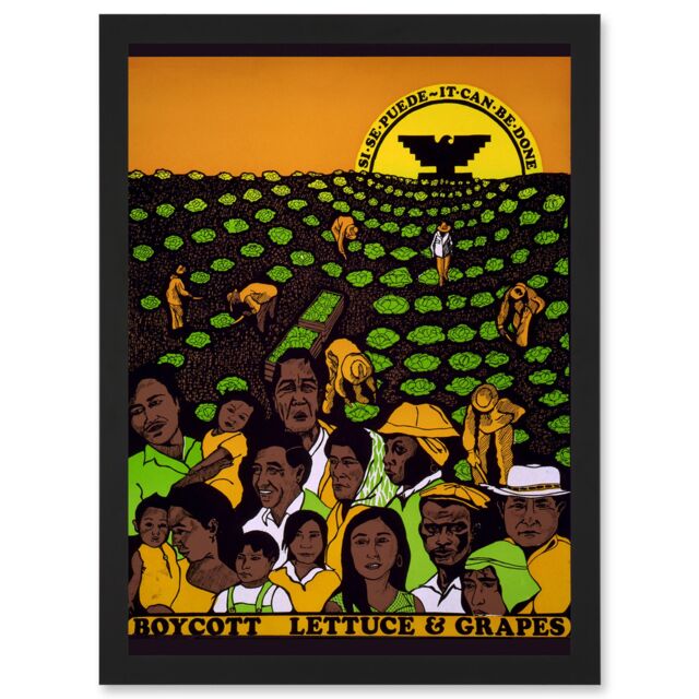 Artery8 United Farm Workers Grape Lettuce Boycott Political A4 Artwork Framed Wall Art Print in Black - image 1