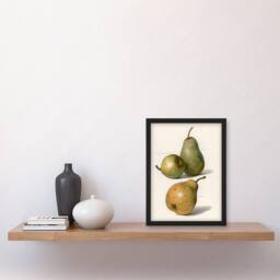 Artery8 John Wright Framed Wall Art Vintage Illustration of Pear Varieties in White - Size: A4 - thumbnail 2