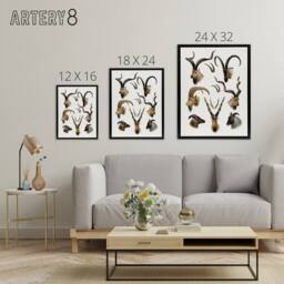 "Artery8 Vintage Illustration Bovidae Animals Lydekker Framed Canvas Wall Art in White - Size: W12"" x H16""" - thumbnail 4